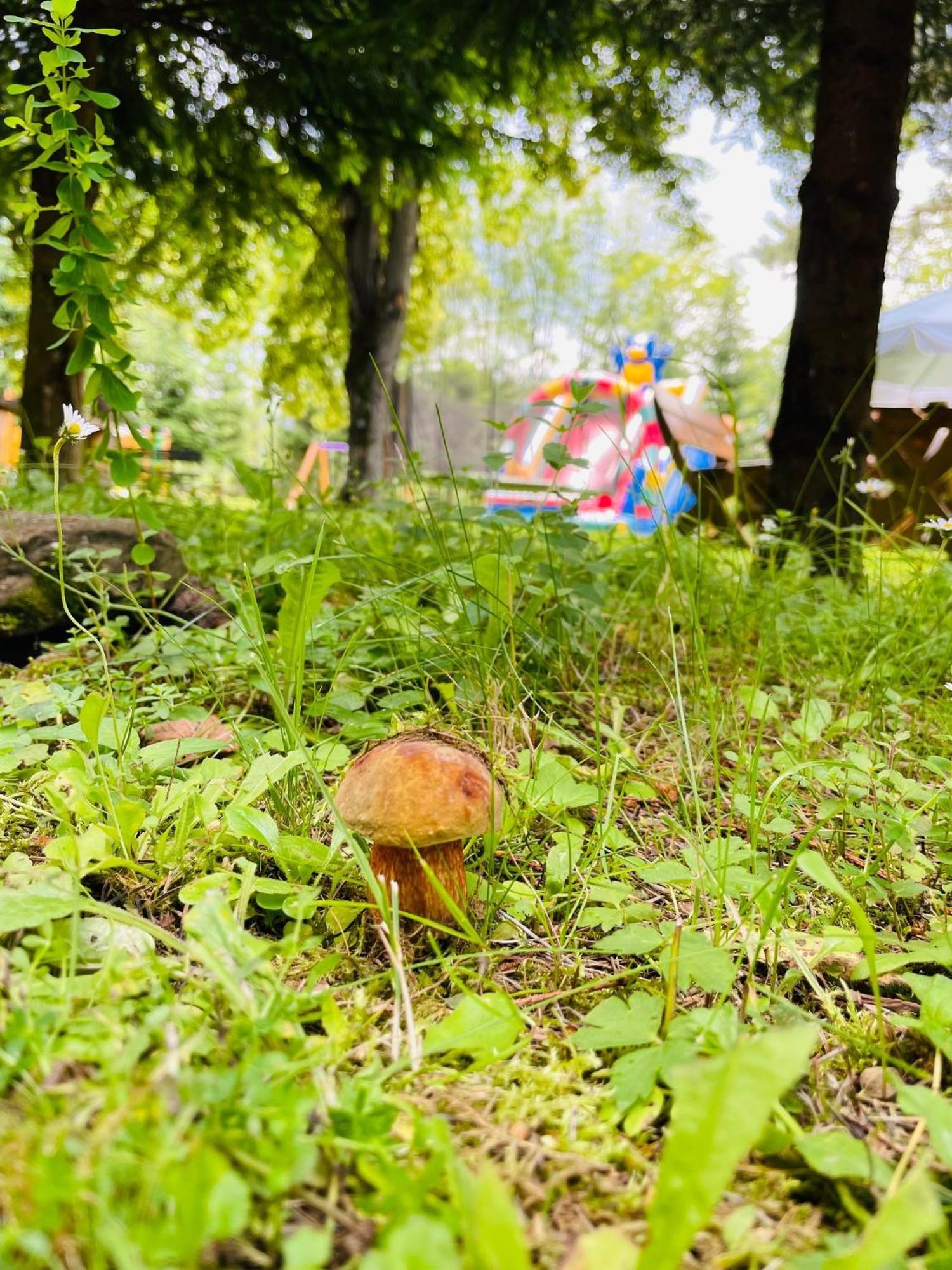 Apartamento Ośrodek Wczasów Zdrowotnych Rudawka Rymanowska Exterior foto